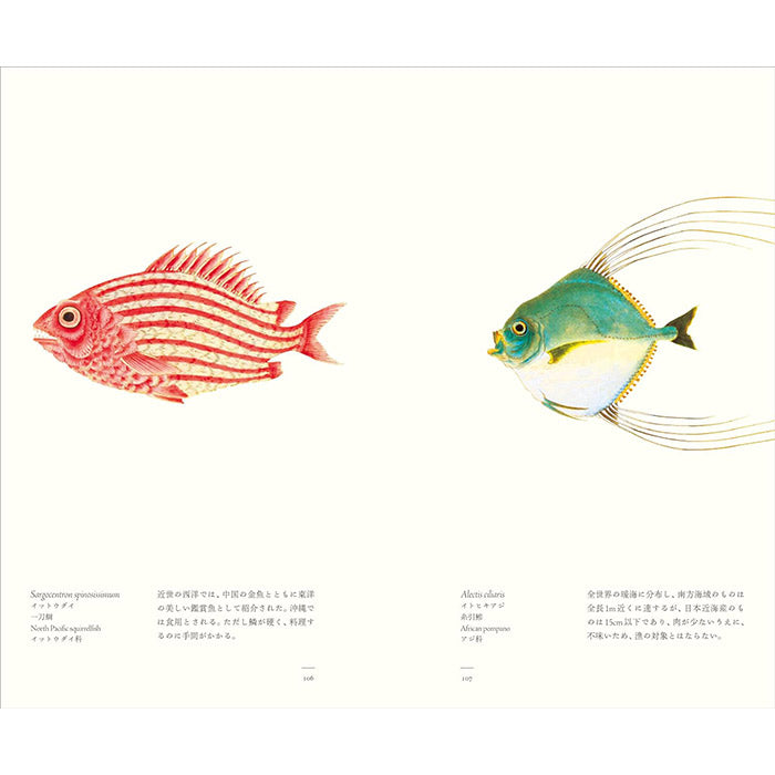 Fish - Aquatic Royalty - The Edo Museum Series 4