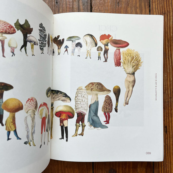 Fungal Inspiration - Art and Illustration Inspired by Wild