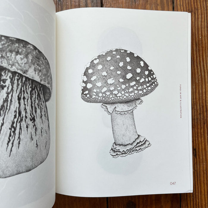 Fungal Inspiration - Art and Illustration Inspired by Wild Nature