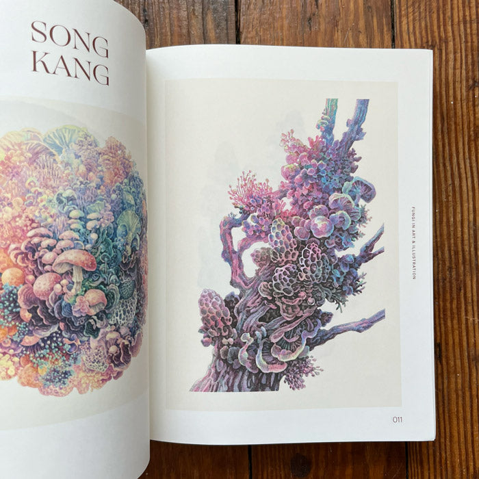 【新品】Fungal Inspiration きのこ 菌 サイケデリックアート Fungal Inspiration / Victionary きのこ 菌 サイケデリック