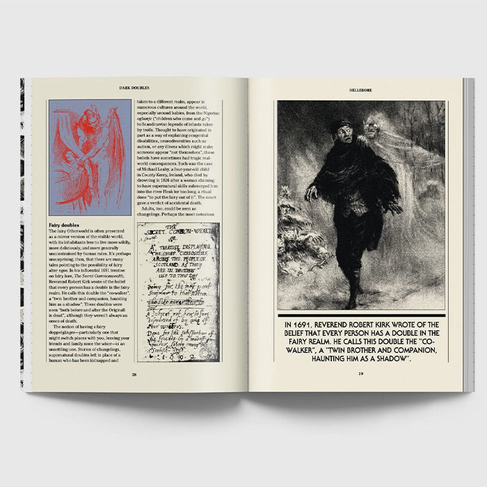 Hellebore n. 14 - The Mirror Issue