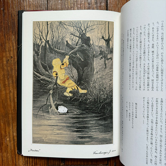 Kwaidan - Stories by Lafcadio Hearn illustrated by Jan Svankmajer