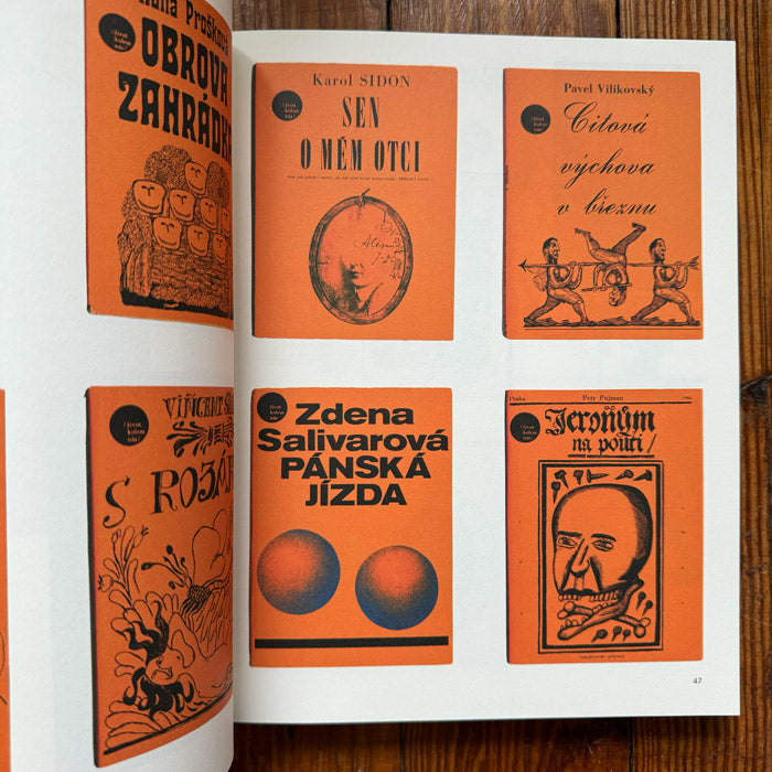 Jiri Salamoun art book - Jan Rous – 50 Watts Books