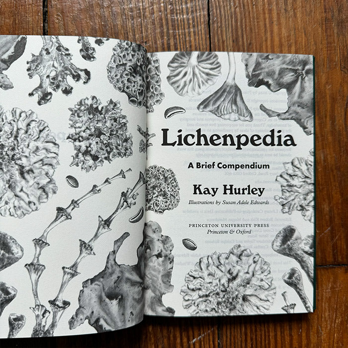 Lichenpedia - A Brief Compendium - Kay Hurley