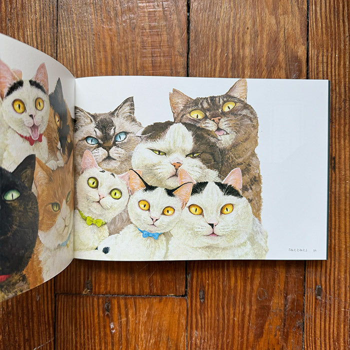 Machida Naoko Works - Cats at Every Turn