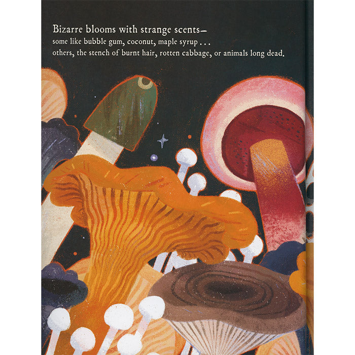Mushroom Rain (light wear) - Laura K. Zimmermann and Jaime Green