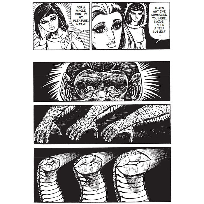 My Gorilla Family - Iijima Ichiro