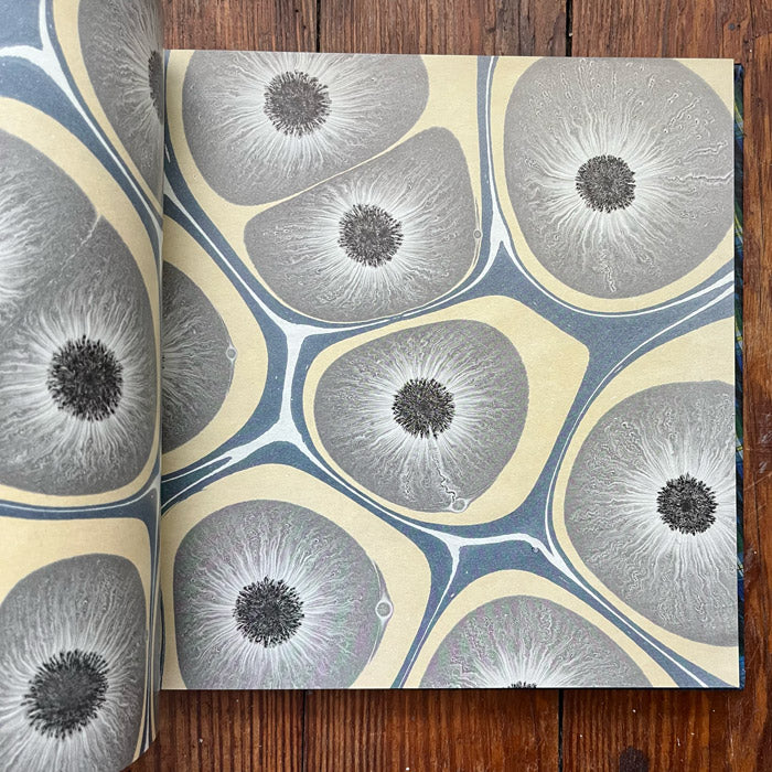 Pattern and Flow - A Golden Age of American Decorated Paper, 1960s to 2000s