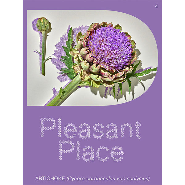 Pleasant Place 4 - Artichoke