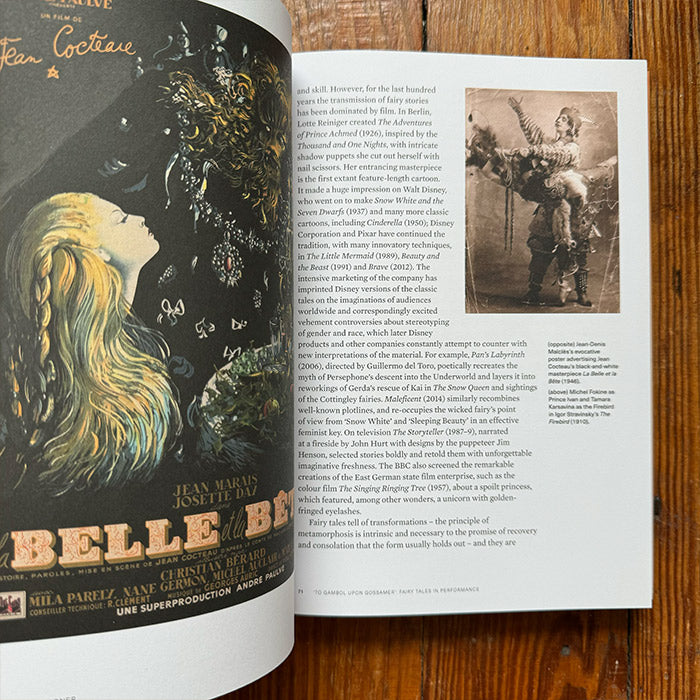 Realms of Imagination - Essays from the Wide Worlds of Fantasy