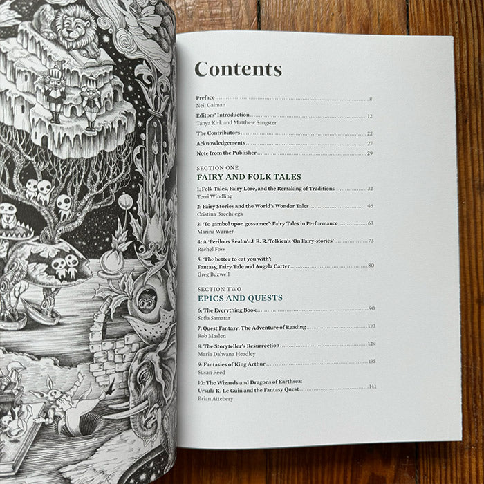 Realms of Imagination - Essays from the Wide Worlds of