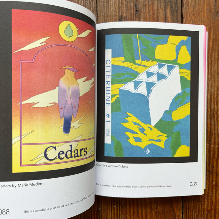 Riso Art - A Creative's Guide to Mastering Risography – 50 Watts Books