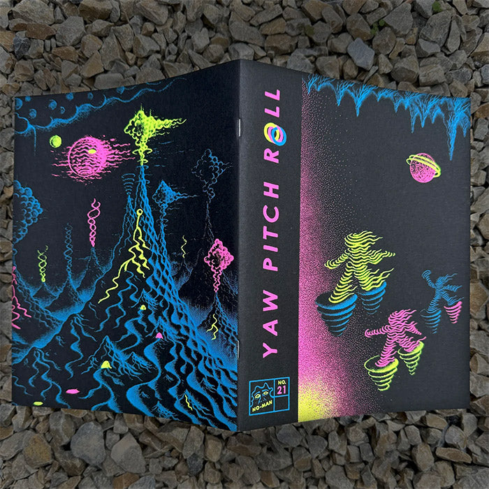 Yaw Pitch Roll - Rodger Binyone – 50 Watts Books