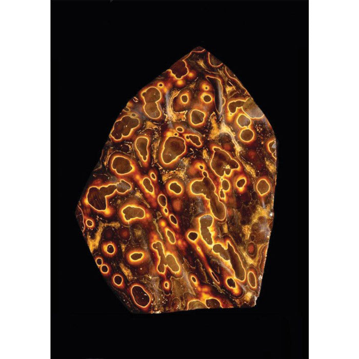 Written in Stone - Minerals Collected and Described by Roger