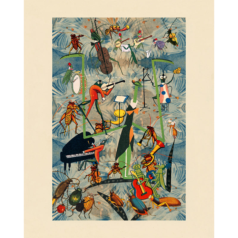 Print - Samplerman Insect Orchestra – 50 Watts Books