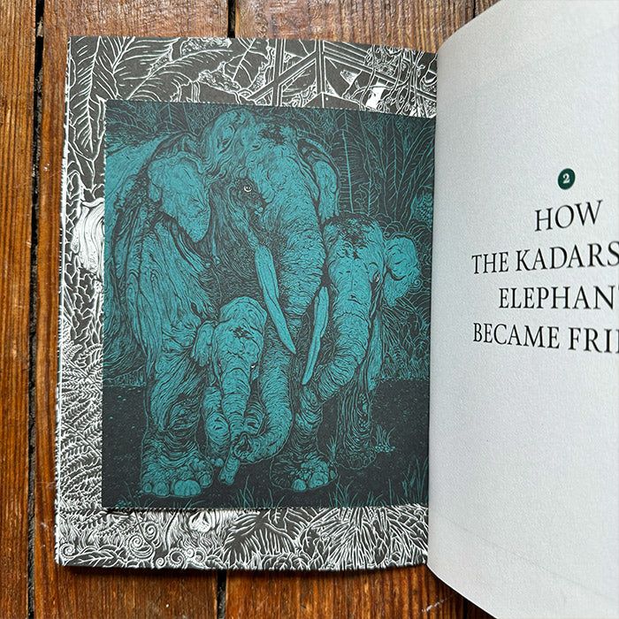 Speaking to an Elephant and Other Tales from the Kadars