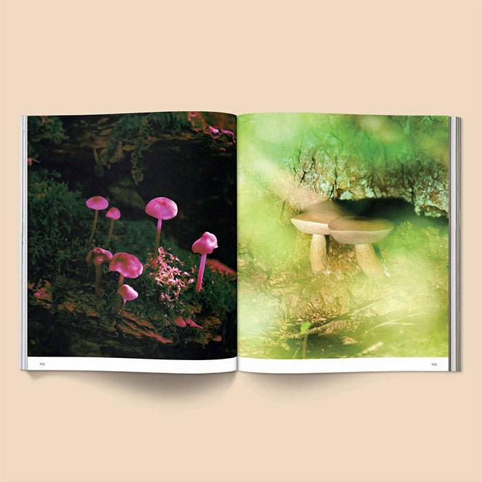 Spores - Magical Mushroom Photography Book | editors of Broccoli