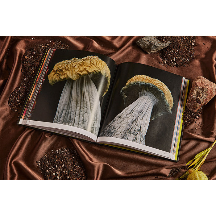 Spores - Magical Mushroom Photography Book