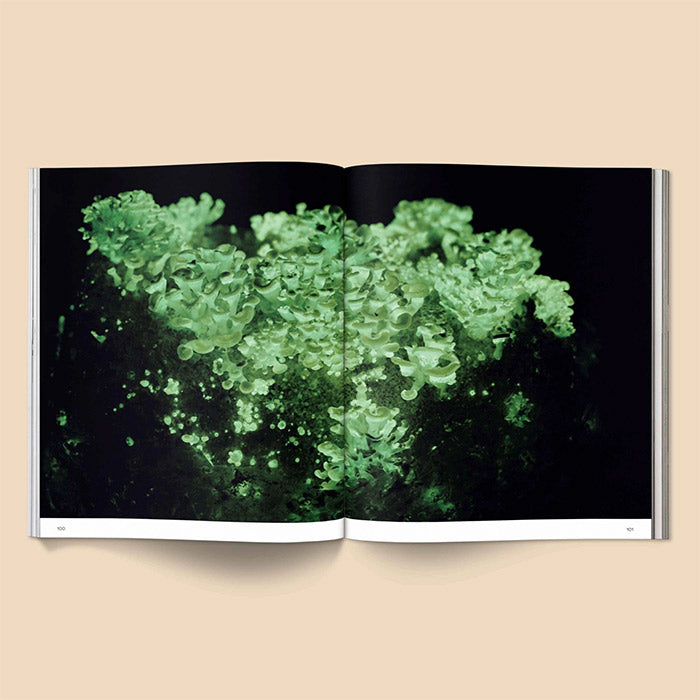 Spores - Magical Mushroom Photography Book | editors of Broccoli