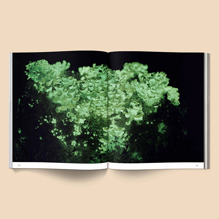 Spores - Magical Mushroom Photography Book