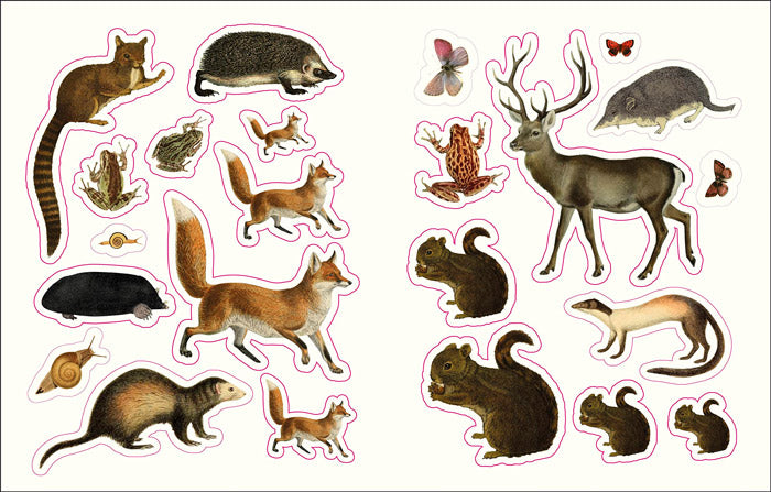The Forests, Fairies and Fungi Sticker Anthology – 50 Watts