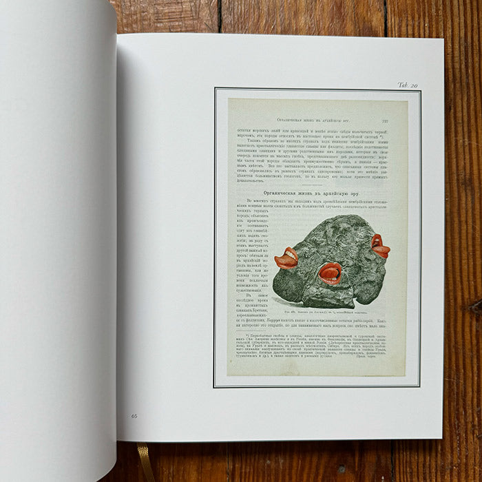 Bilderlexikon - Jan Svankmajer – 50 Watts Books