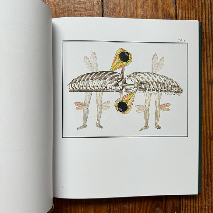 Bilderlexikon - Jan Svankmajer – 50 Watts Books