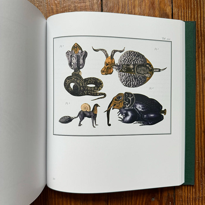 Bilderlexikon - Jan Svankmajer – 50 Watts Books
