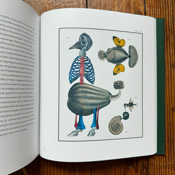 Bilderlexikon - Jan Svankmajer – 50 Watts Books