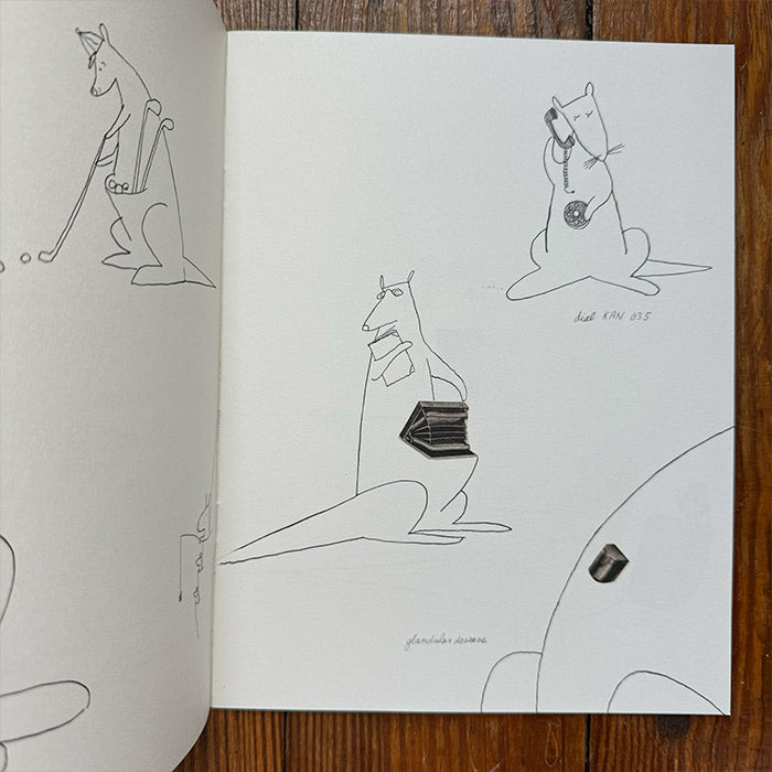 Elephants, Whales and Kangaroos - Tomi Ungerer