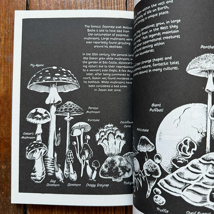 UFO Mushroom Invasion (last copies) - Shirakawa Marina