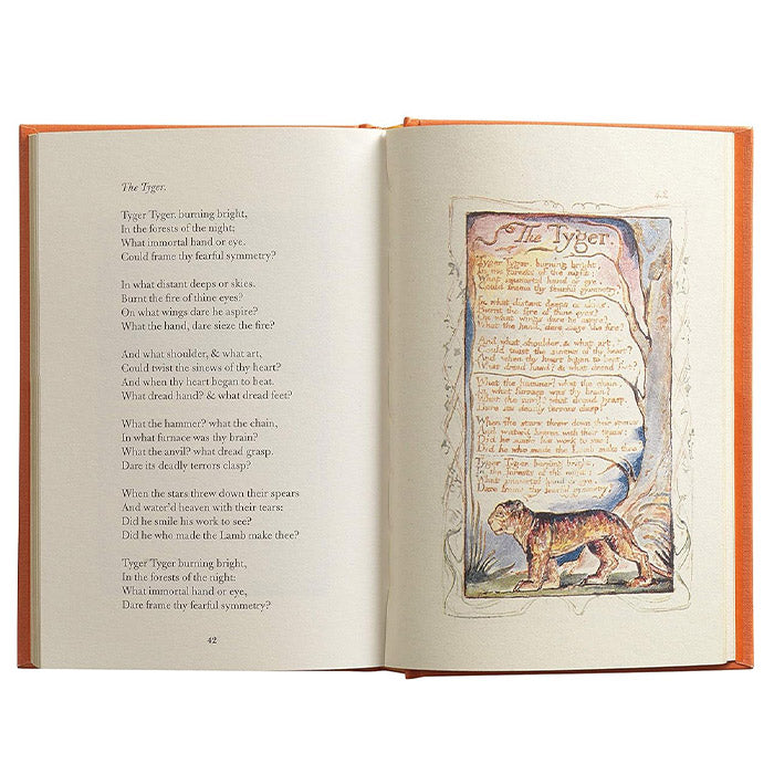 アート・デザイン・音楽 Songs of Innocence and of Experience Songs of Innocence and of Experience - William Blake – 50