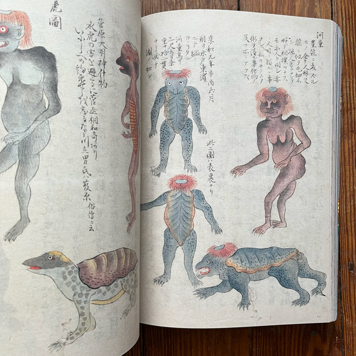 YOKAI (art book from Japan)  yokai monsters and mononoke spirits – 50  Watts Books