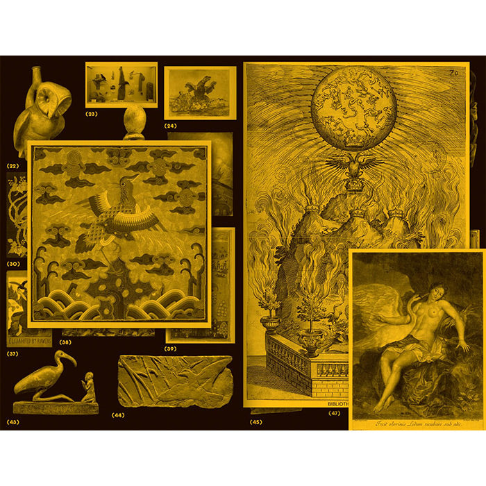 With a Bird - A Reader on Avian Kinship