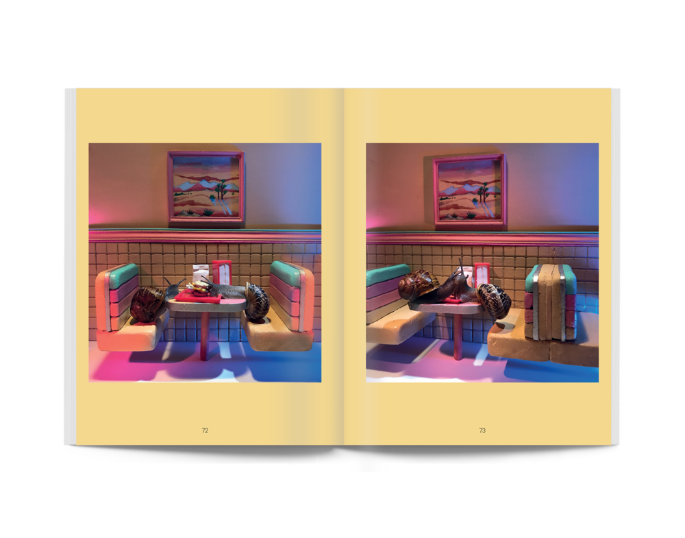Snail World - Aleia Murawski and Sam Copeland – 50 Watts Books