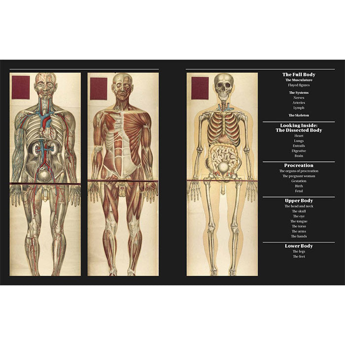 Morbid Anatomy book Anatomica The Exquisite and Unsettling Art of Human Anatomy Joanna Ebenstein artbook