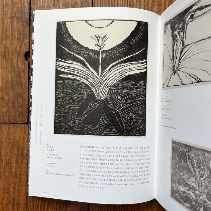 Ayashii - Decadent and Grotesque Images of Beauty in Modern