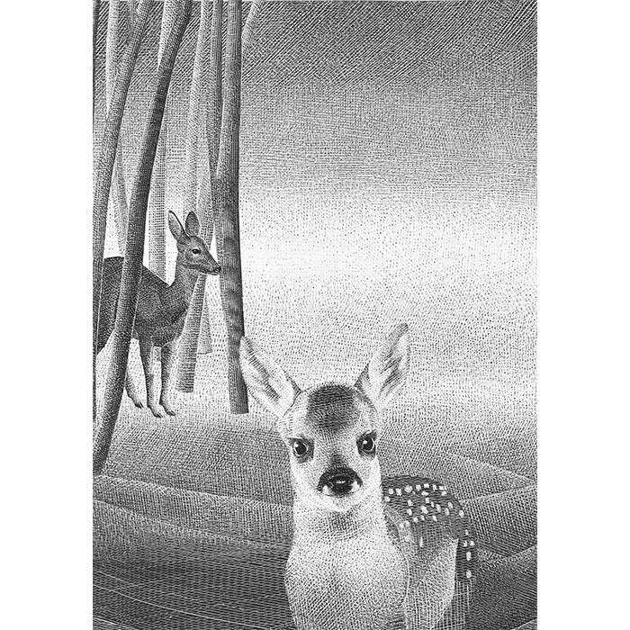 The Original Bambi - Felix Salten and Alenka Sottler – 50 Watts Books