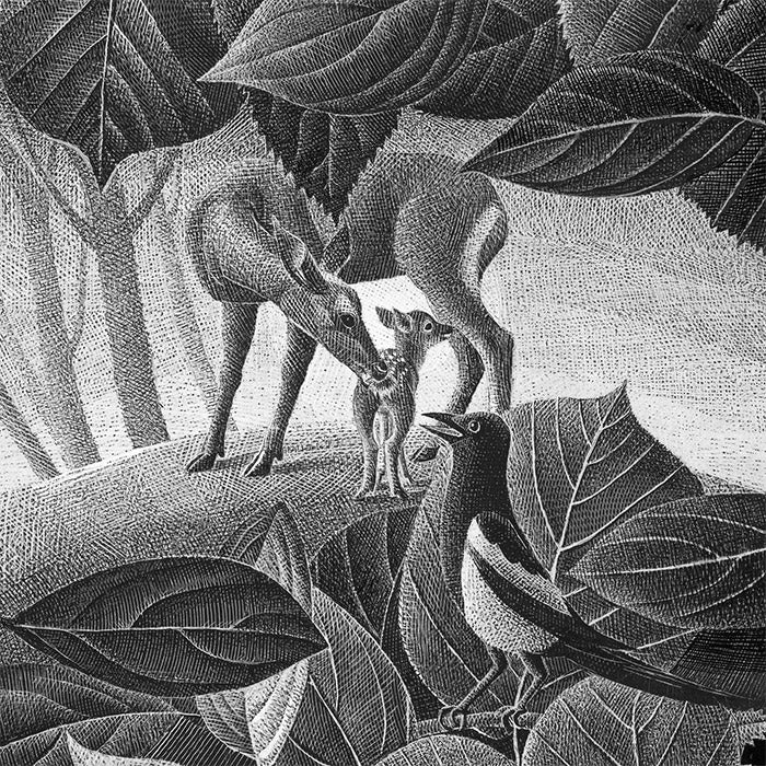 The Original Bambi - Felix Salten and Alenka Sottler – 50 Watts Books