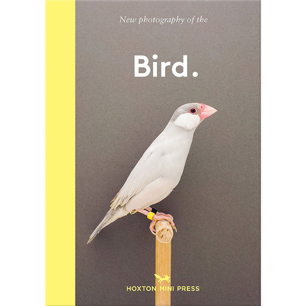 New Photography of the Bird