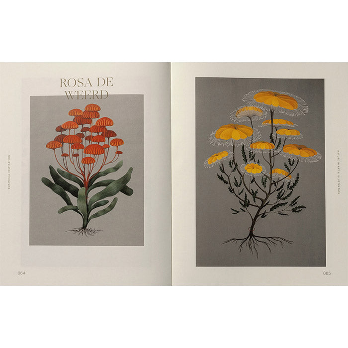 Botanical Inspiration - Nature in Art and Illustration
