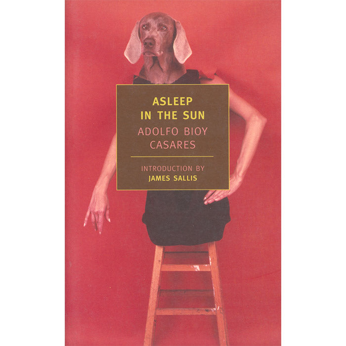 Asleep in the Sun (NYRB Classics, Used)