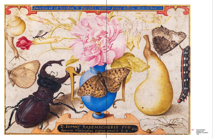 Crawly Creatures - Depiction and Appreciation of Insects and Other Critters in Art and Science