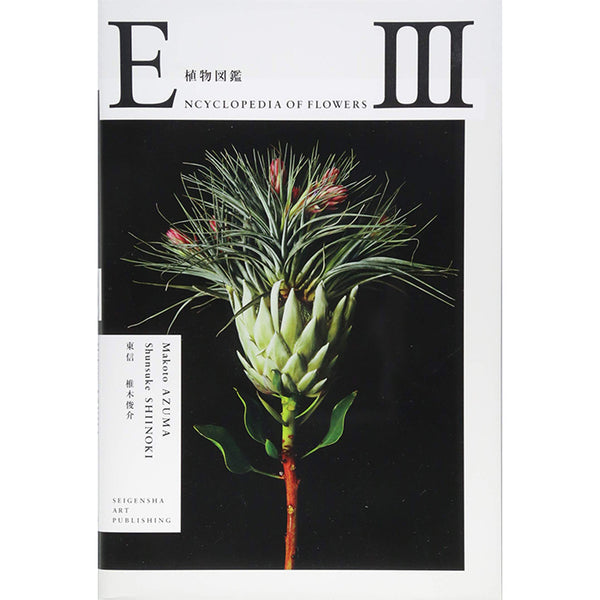Encyclopedia of Flowers III - Makoto Azuma and Shinsuke Shiinoki