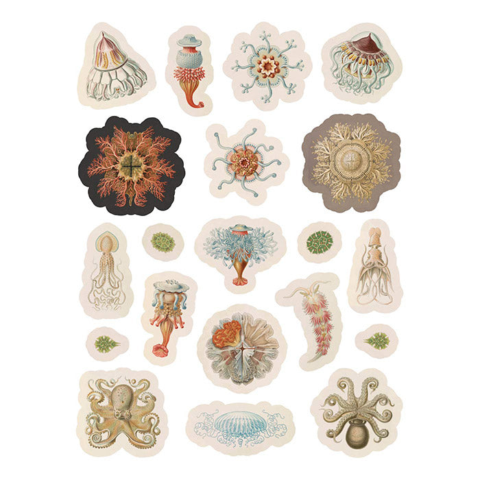 Ernst Haeckel - Art Forms in Nature Sticker Book