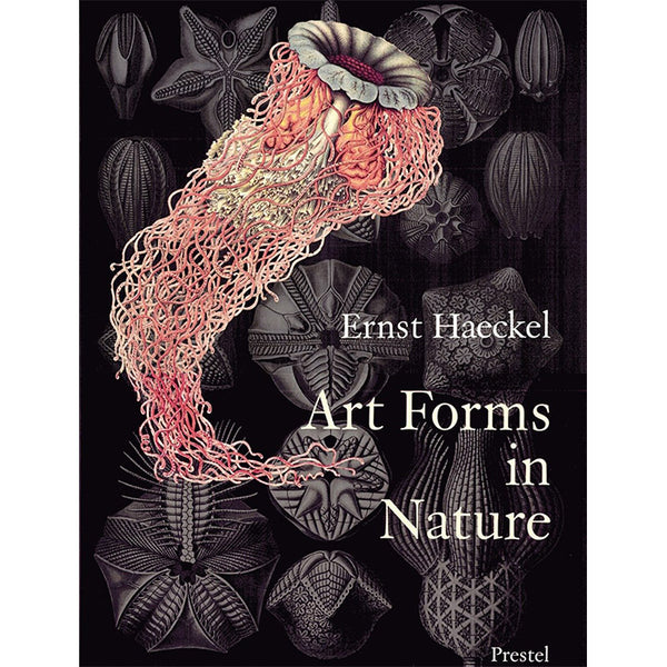 Art Forms in Nature: The Prints of Ernst Haeckel / ISBN 9783791319902 / 140-page paperback, 9.5 x 12 inches, from Prestel Publishing