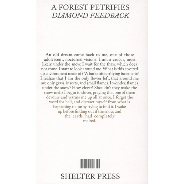 A Forest Petrifies - Diamond Feedback - Felicia Atkinson