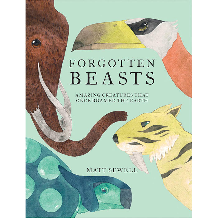 Forgotten Beasts by Matt Sewell  ISBN 9781843653936 children’s book picture book lost creatures message of protection and conservation