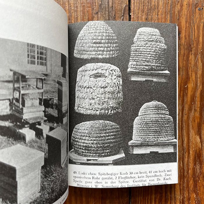 Hives: A Visual History of the Beehive by Aladin Borioli 