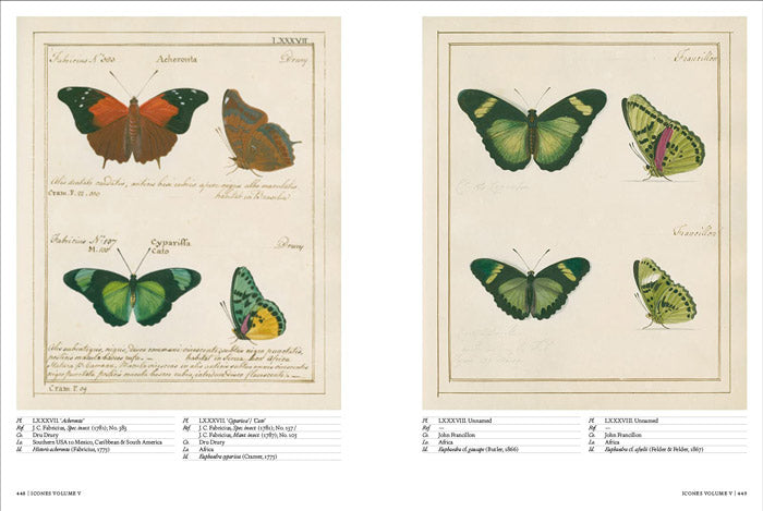 Iconotypes - A Compendium of Butterflies and Moths